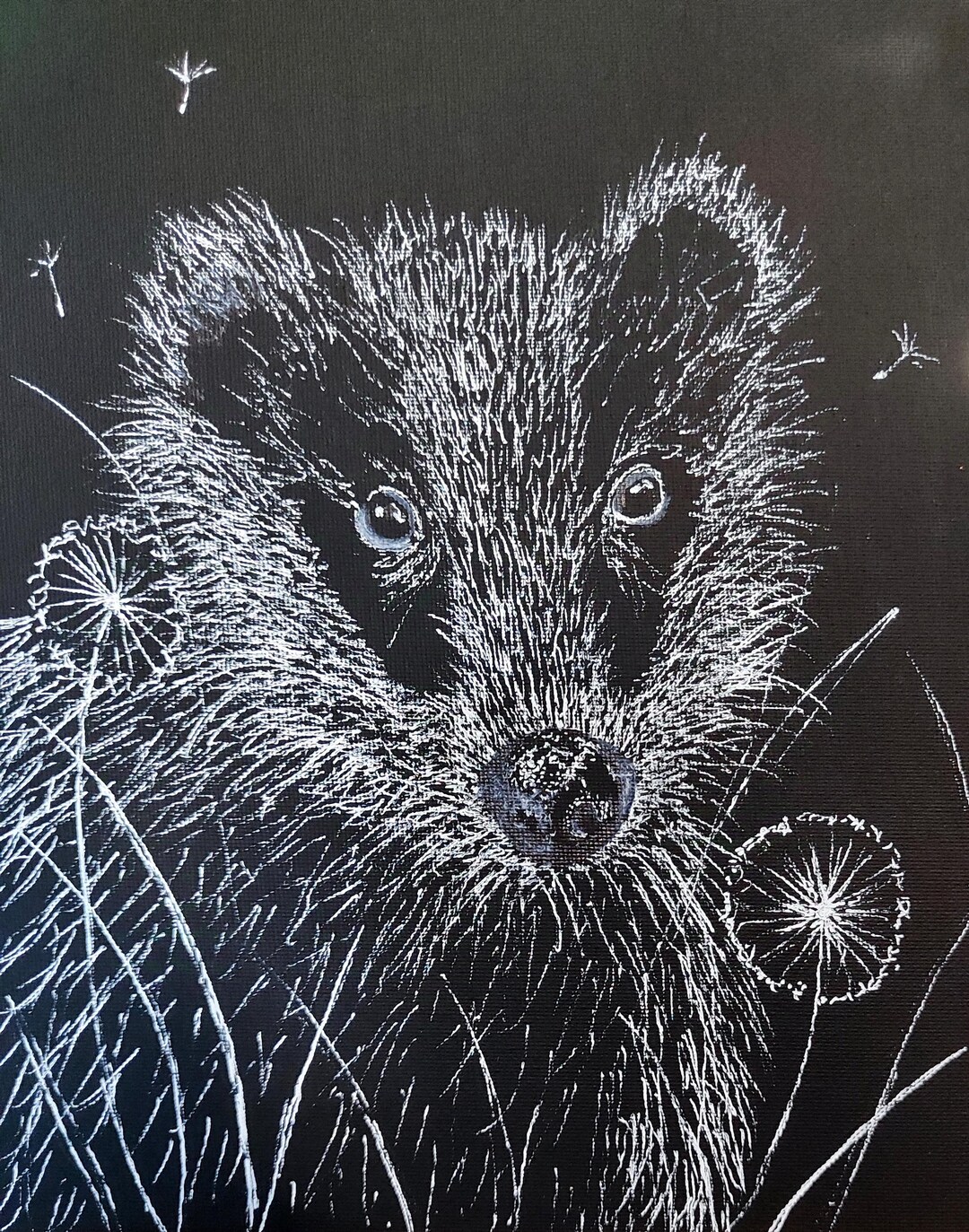 Original Art. Badger Ink Drawing on Black Canvas Board 8 X 10 Inches ...