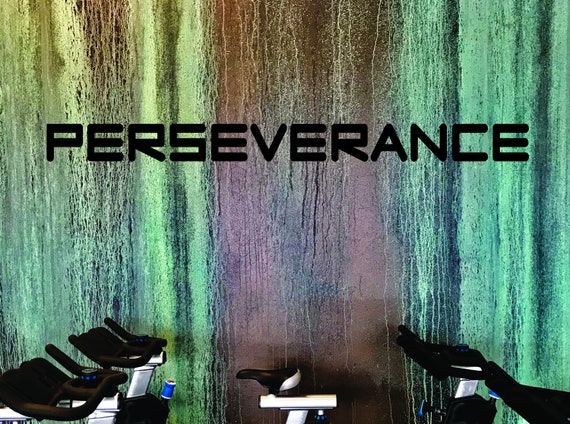 GYM DECOR, Fitness Wall Decal, Classroom Ideas, Office Decor Decal, PERSEVERANCE wall decal
