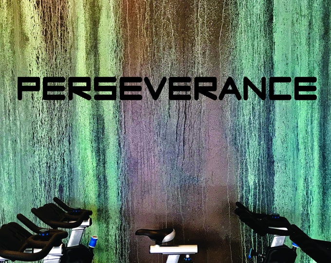 GYM DECOR, Fitness Wall Decal, Classroom Ideas, Office Decor Decal, PERSEVERANCE wall decal