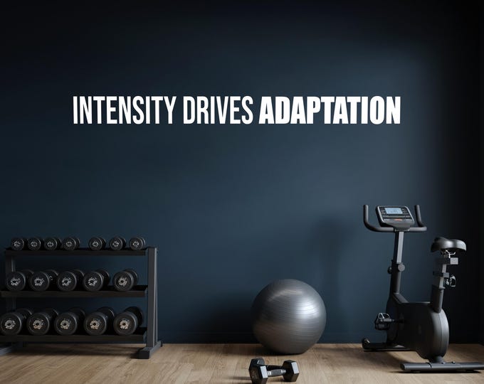 INTENSITY DRIVES ADAPTATION Fitness Wall Decal, Office Wall Decal, Motivational Quote Sticker, High School Sports, Inspirational Quote 089