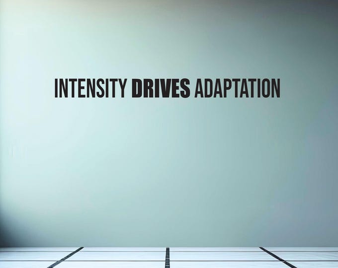 INTENSITY DRIVES ADAPTATION Fitness Wall Sticker, Office Wall Decal, Motivational Quote Sticker, High School Sports, Sign for Gym
