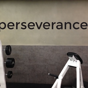 perseverance quote wall decal. wellness decor, gym motivation quote