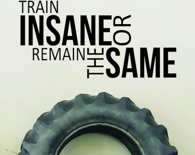 GYM IDEAS, Gym Wall Decal, Gym Design, Fitness Decor. Train Insane or Remain The Same