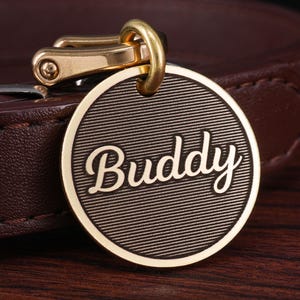 May include: A gold-colored pet tag with the name "Buddy" in elegant script. The tag is round with a textured, striped background. It has a gold-colored clasp for attaching to a collar. The tag is likely made of metal.