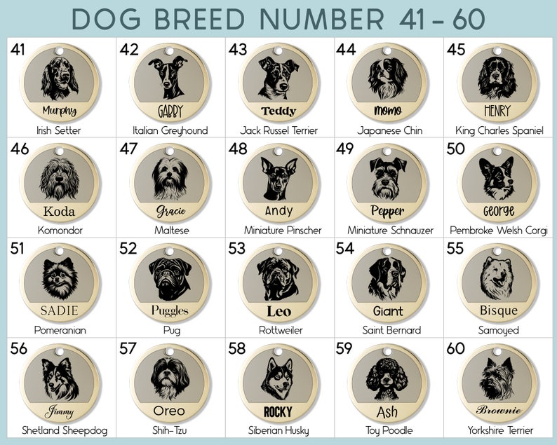 May include: A chart with 60 gold-colored circles, each featuring a different dog breed illustration. The circles are numbered from 41 to 60, and each circle includes the breed name and a dog's name.
