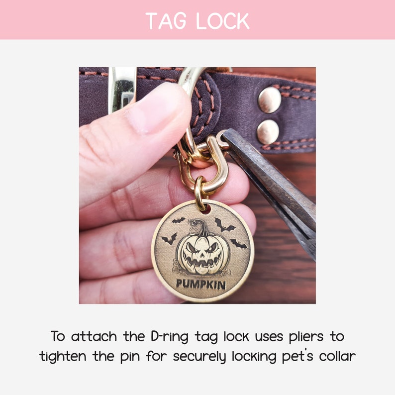 May include: A gold-toned D-ring tag lock with a pumpkin design and the word "PUMPKIN" engraved on it. Pliers are used to tighten the pin for securely attaching the tag to a pet's collar.
