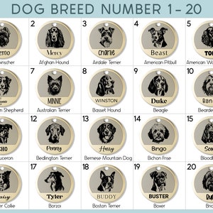 May include: A chart with 20 dog breed illustrations, each with a number, name, and breed label. The chart is on a light blue background with a white border.