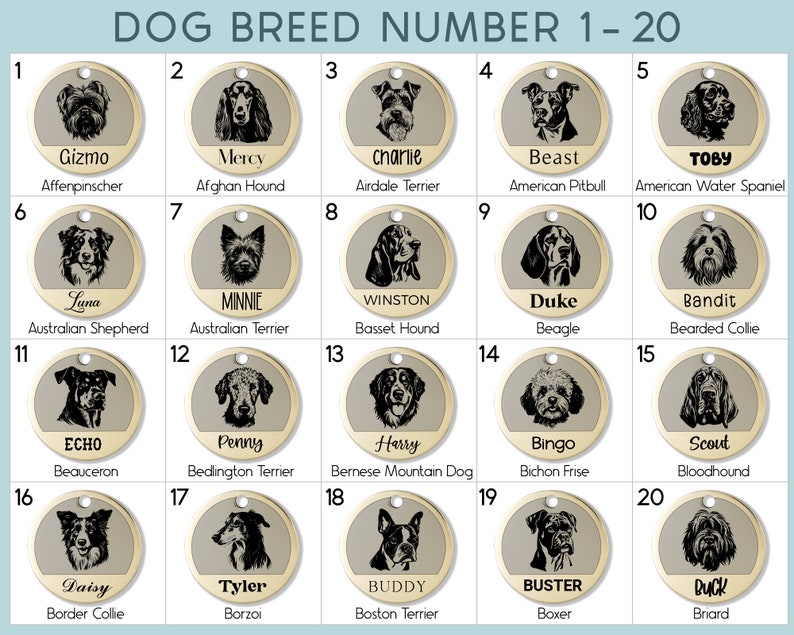 May include: A chart with 20 dog breed illustrations, each with a number, name, and breed label. The chart is on a light blue background with a white border.