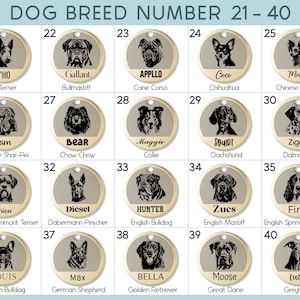 May include: A chart with illustrations of 20 different dog breeds, numbered 21 through 40. Each breed is shown with a dog's head and neck, and the name of the breed is listed below the image. The chart is on a light brown background with a gold border.