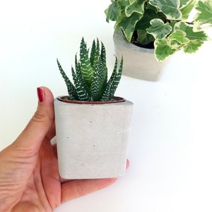 Betonnen plantenbakken, beton, plantenbak, binnenpot, succulente plantenbak, succulente plantenbak, cactusplanter, verjaardagscadeau