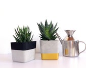 Concrete planter, Succulent planter, Cactus planter, Indoor planter, Housewarming gift, Geometric Planter, Modern Planter