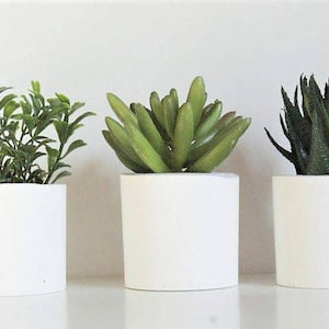 Set of 3 concrete succulent mini pot,  Mini concrete planter, Succulent Planter, housewarming gift, Concrete pot, White Pot, Gift for her