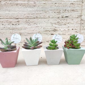 Recuerdos de boda personalizados para invitados, Macetas a granel, Macetas de concreto, Macetas para recuerdos de boda, Maceta de concreto para suculentas, Maceta
