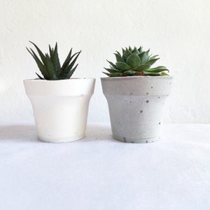 Wedding favor /Bulk planters / Concrete Planter / Wedding favor succulent pot / Mini Succulent Pot / Concrete Plant Pot / Gift for guests