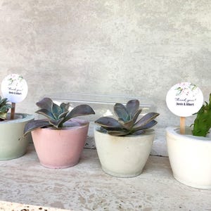 Concrete Planter Wedding Favors / Mini Personalized Succulent Pots / Rustic Eco Frendly Cement Pots / Unique Boho Wedding Decor / Cacti Pot