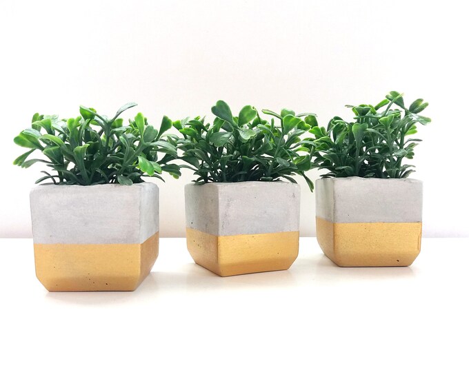 Set of Three Mini Concrete Planters Cactus Planter Succulent Etsy