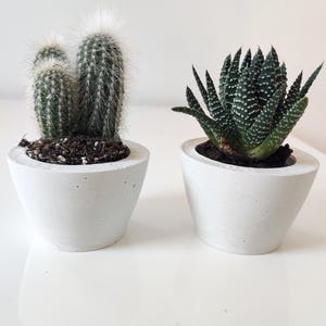 Mini Concrete Pots - Succulent Wedding Favors, Handmade Guest Gifts, Cacti Wedding Favors, Rustic Modern Table Decor, Unique Keepsake
