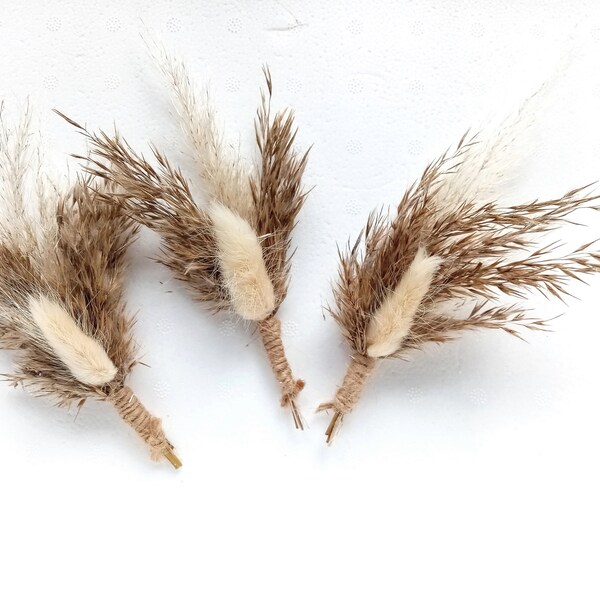 Pampas Boho Boutonniere, Pampas Boutonniere, Dried flowers, Rustic Dried flower Boutonniere, Rustic Boutonnieres made with Pampas Grass