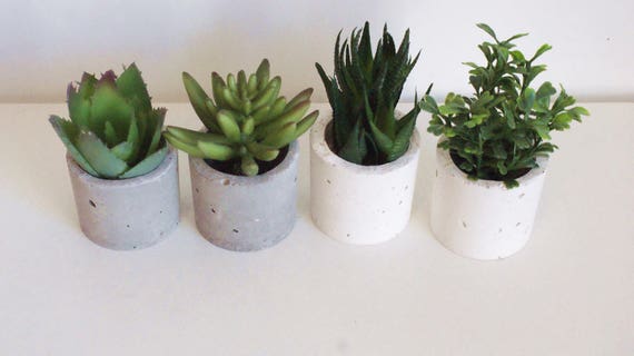 Great for Airplants Planter Succulents & Small Plants Concrete Mini-Planter / Tea Candle Holder Ringo