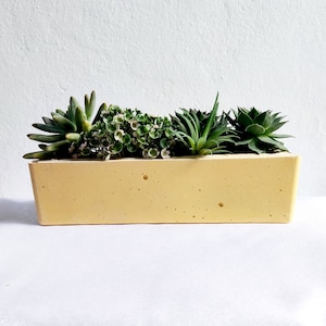 Long rectangular Concrete planter 9.4 Inch, plant pot, windowsill plant pot, cactus planter, industrial indoor pot, succulent plant pot
