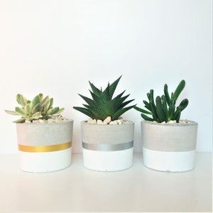 Betonnen plantenbak / cilinder plantenbak / betonnen bloempot / vetplanter / cactusplanter / vetplant / housewarmingcadeau /