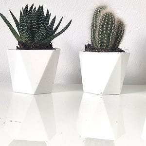 100 Wedding favors for guest in bulk, Wedding favors pots, Wedding favors succulent planters, Plant Pot, Wedding gift for guests, vases