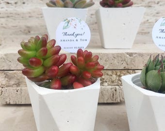Bomboniere per gli ospiti, Bomboniere per gli ospiti all&#39;ingrosso, Vasi per bomboniere, Vasi per bomboniere, Bomboniere per piante grasse, Bomboniere nuziali, Mini vaso
