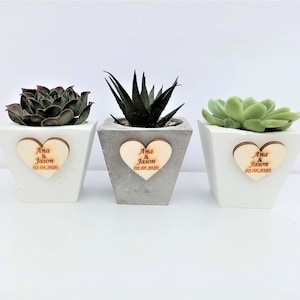 Personalized Wedding mini pots favors for guest, Wedding favors for guest in bulk, Personalized succulent pot favor, Plant Pot in Bulk