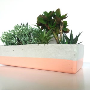 Long  rectangular Concrete planter 9.4 Inch, peach planter, window sill planter, cactus planter, industrial indoor pot, housewarming gift