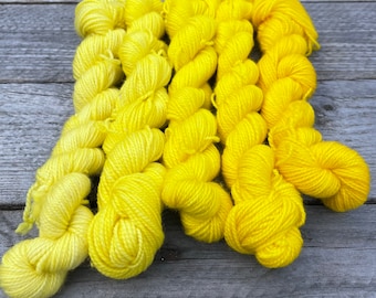 Narcissus: Ombré gradient set of five tonal mini skeins, hand dyed in light yellow