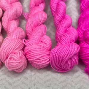 Hot damn! Hot pink! Gradient set of five mini skeins hand dyed