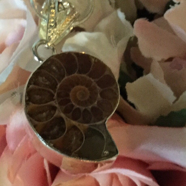 Ammonite set in Sterling pendant
