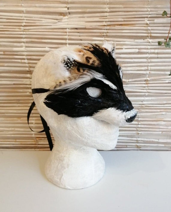 raccoon mask