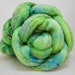 see more listings in the Roving  section