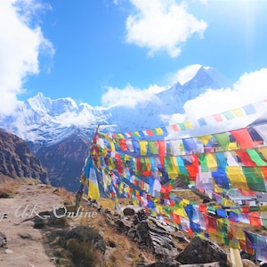 Packs - Tibetan Buddhist Prayer Flags Wind Horses - Made In Nepal- various sizes