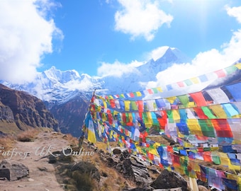 Packs - Tibetan Buddhist Prayer Flags Wind Horses - Made In Nepal- various sizes