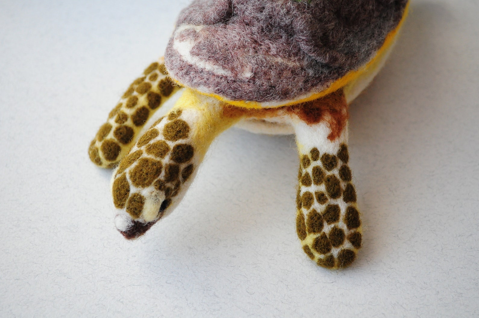 Needle felted turtle Realistic Collectible Handmade Posable Etsy
