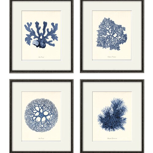 Blue Sea Coral Art Nautical Print Set Sea Art Print Vintage Etsy