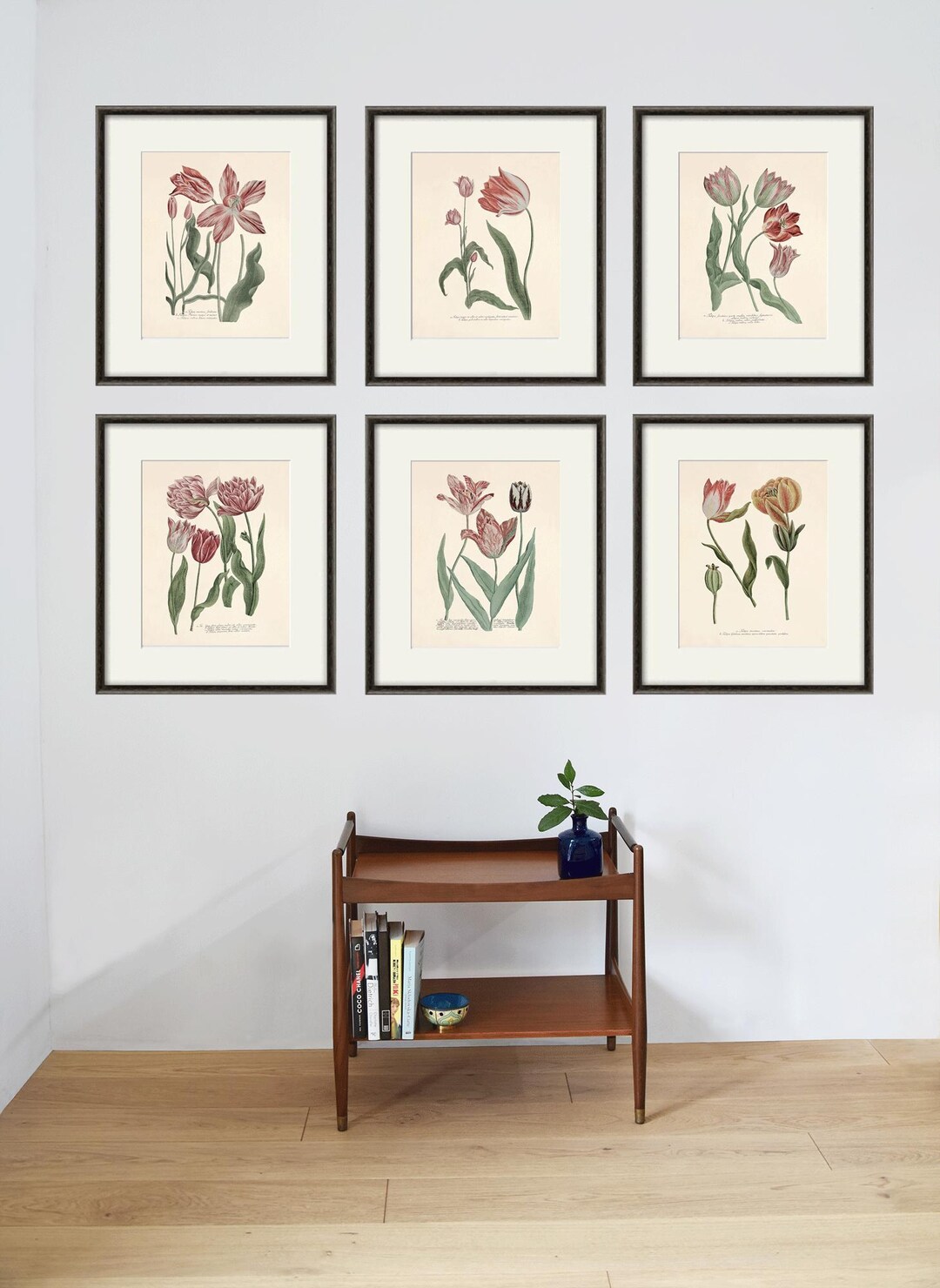 Antique Tulip Print Set: Botanical Wall Art, French Lithograph - Etsy