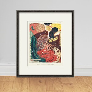 Sea Coral art print Vintage sea art print old prints nautical art print Ocean art print  Natural History art sea life art nature art print