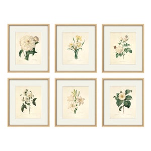 Antique botanical print Botanical art prints flower prints wall art flowers botanical poster antique wall art home decor wall art SET of 6