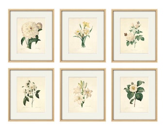 Impression botanique antique Estampes d'art botaniques, fleurs, impression d'art mural fleurs, affiche botanique, art mural antique, décoration d'intérieur, art mural, lot de 6