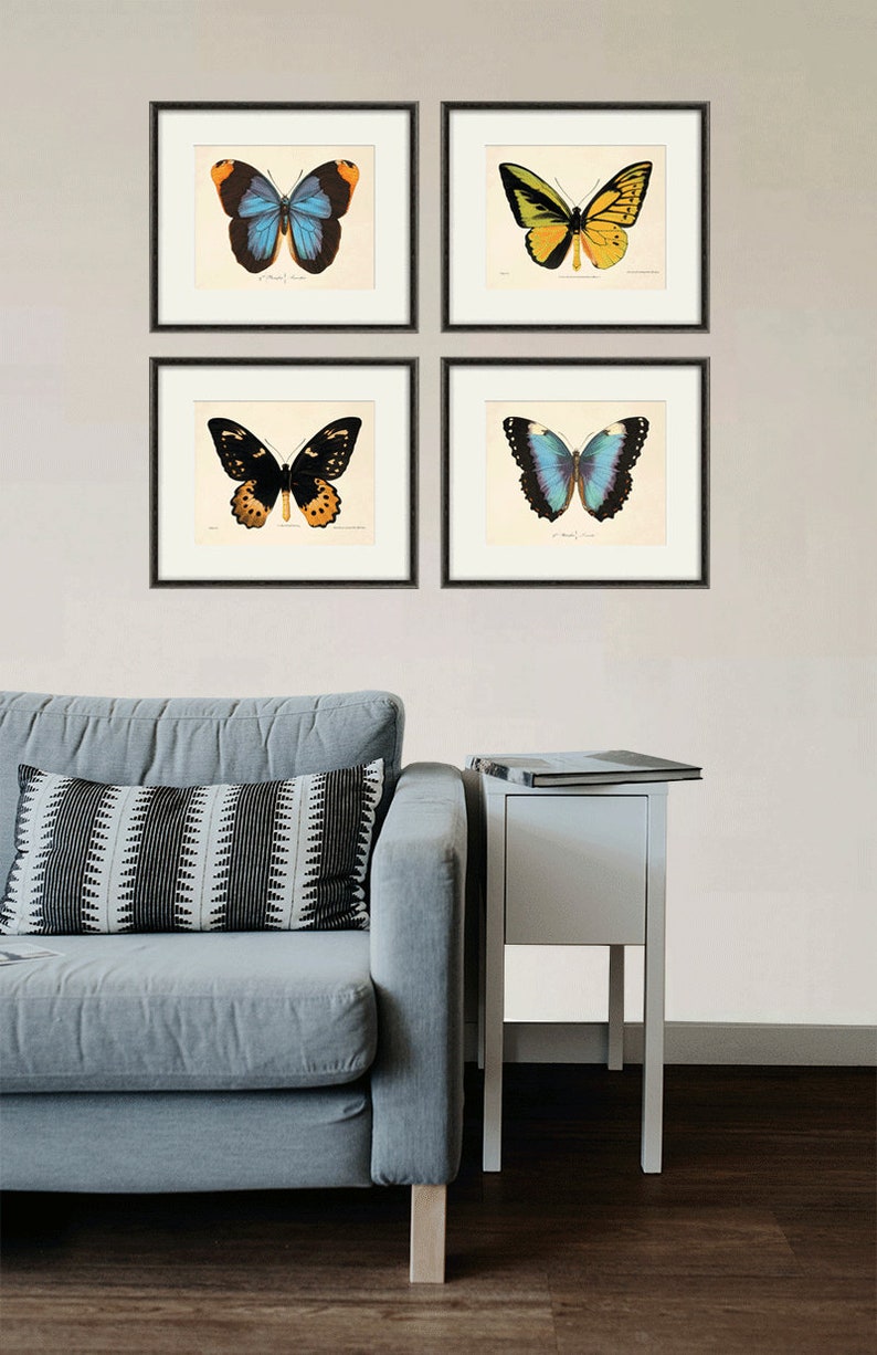 Butterfly art print French art print Cottage wall decor Victorian wall decor Antique print Nature wall art Home decor art Butterfly decor image 4