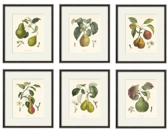 Antique fruit art print Vintage kitchen art print antique botanical art prints fruit wall art kitchen art decor fruit print vintage set of 6