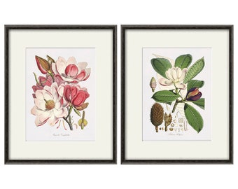 Antique botanical print Botanical art prints flower prints wall art flowers botanical poster antique wall art home decor wall art SET of 2