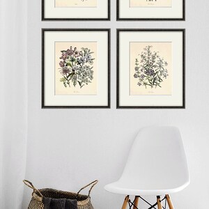 Antique Flower Art Print Set Antique Prints Pink Botanical Prints ...