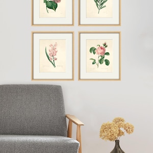 May include: Set of four framed botanical prints featuring pink flowers. The prints are in a simple white frame with a light wood border. The prints are arranged in a grid pattern on a white wall.