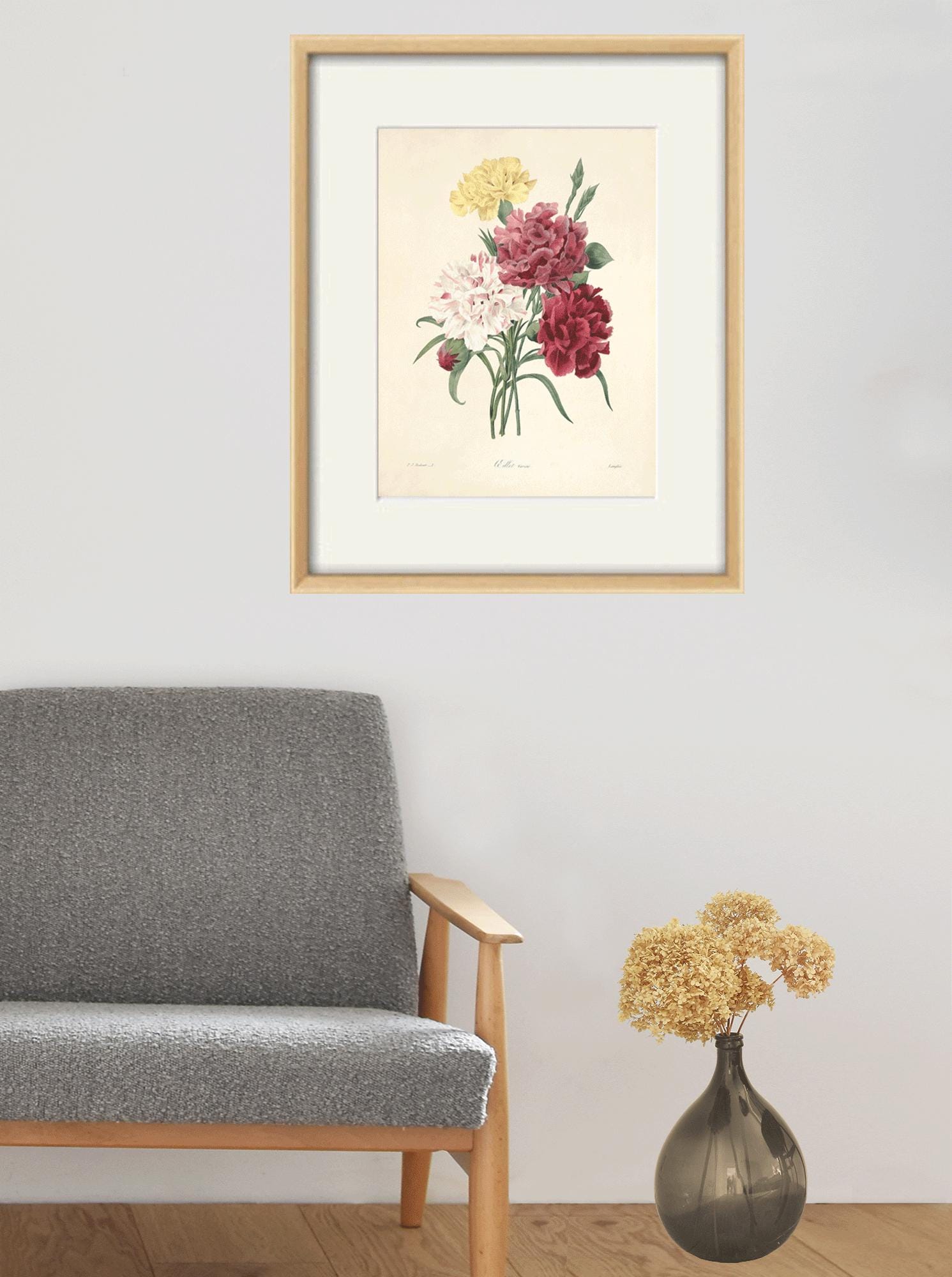 アンティークのカーネーションの花の版画：ヴィクトリア朝の植物画