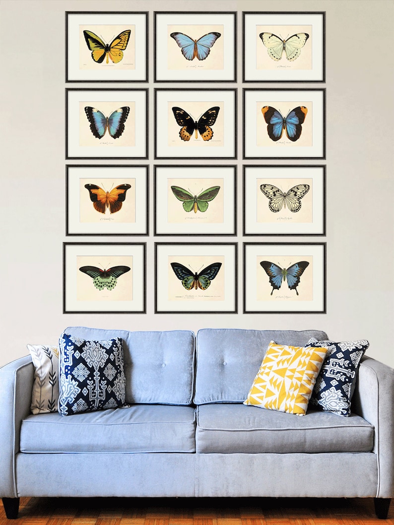 Butterfly art print French art print Cottage wall decor Victorian wall decor Antique print Nature wall art Home decor art Butterfly decor image 7