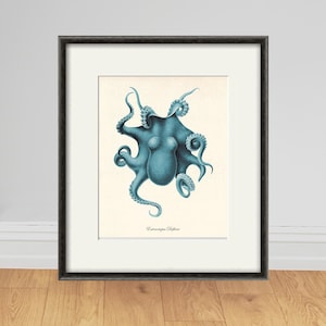 Antique Octopus art print sea art print Vintage sea life art Nautical print Ocean art Natural History Victorian print antique wall art beach